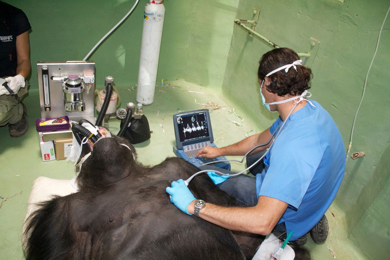 Fernando Cabrera Bueno-13