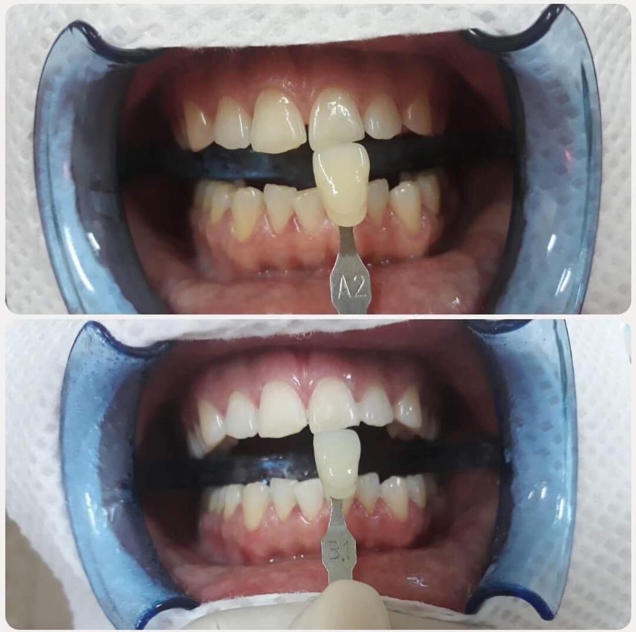 Dżesika Boniecka-15