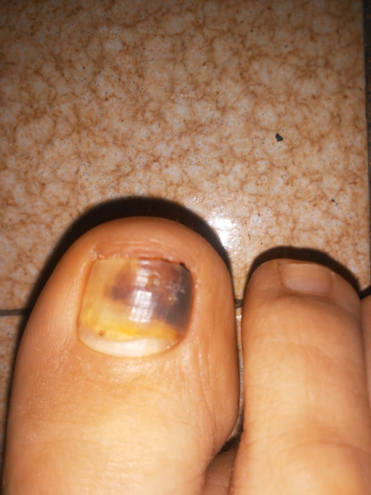 Kassandra Nicolosi-75