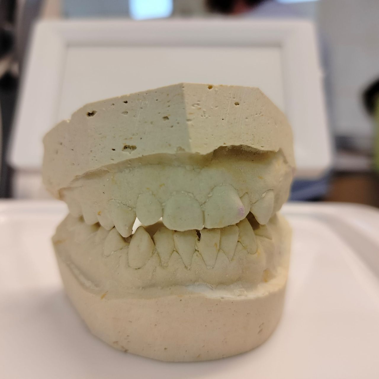 Marco Della Rovere-12