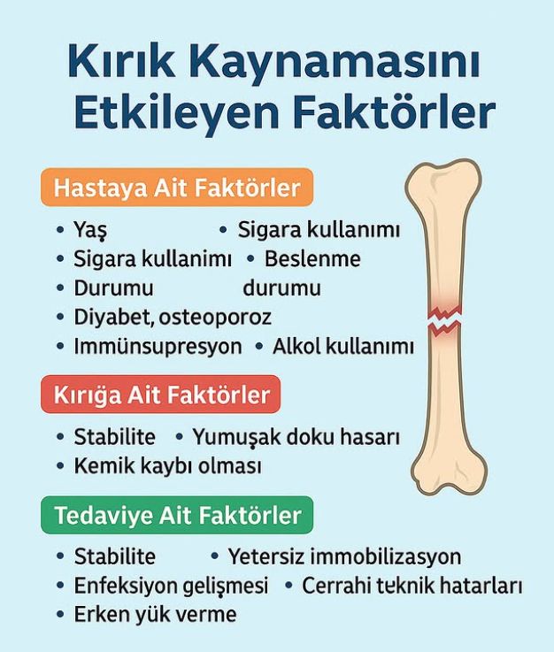 Çağrı Turgut-4