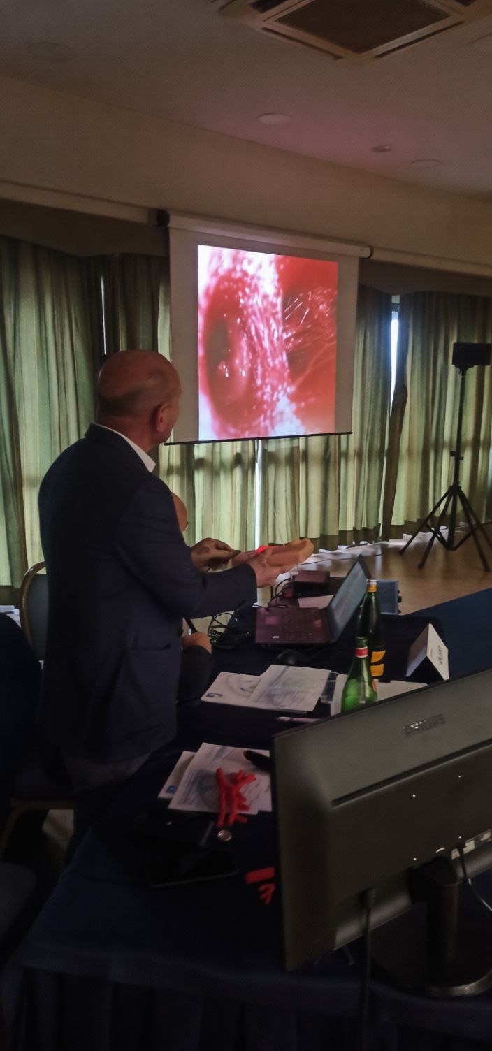 Demetrio Guarnaccia-0