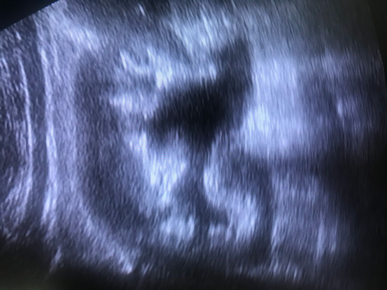 Josep Maria Auguet Martín-5