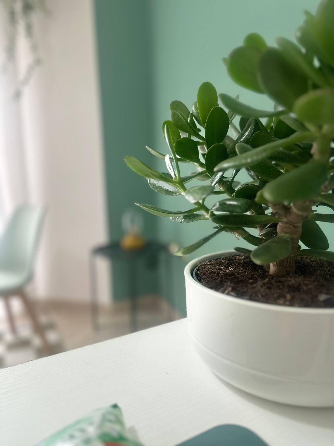 Marika Venticinque-0