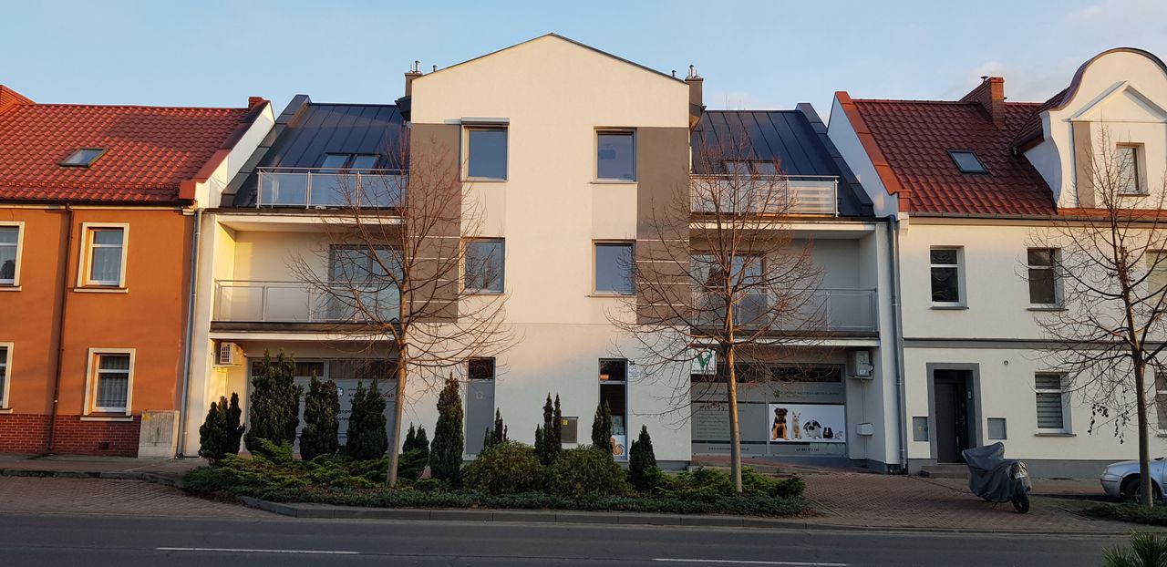 Maciej Witold Gołąb-1