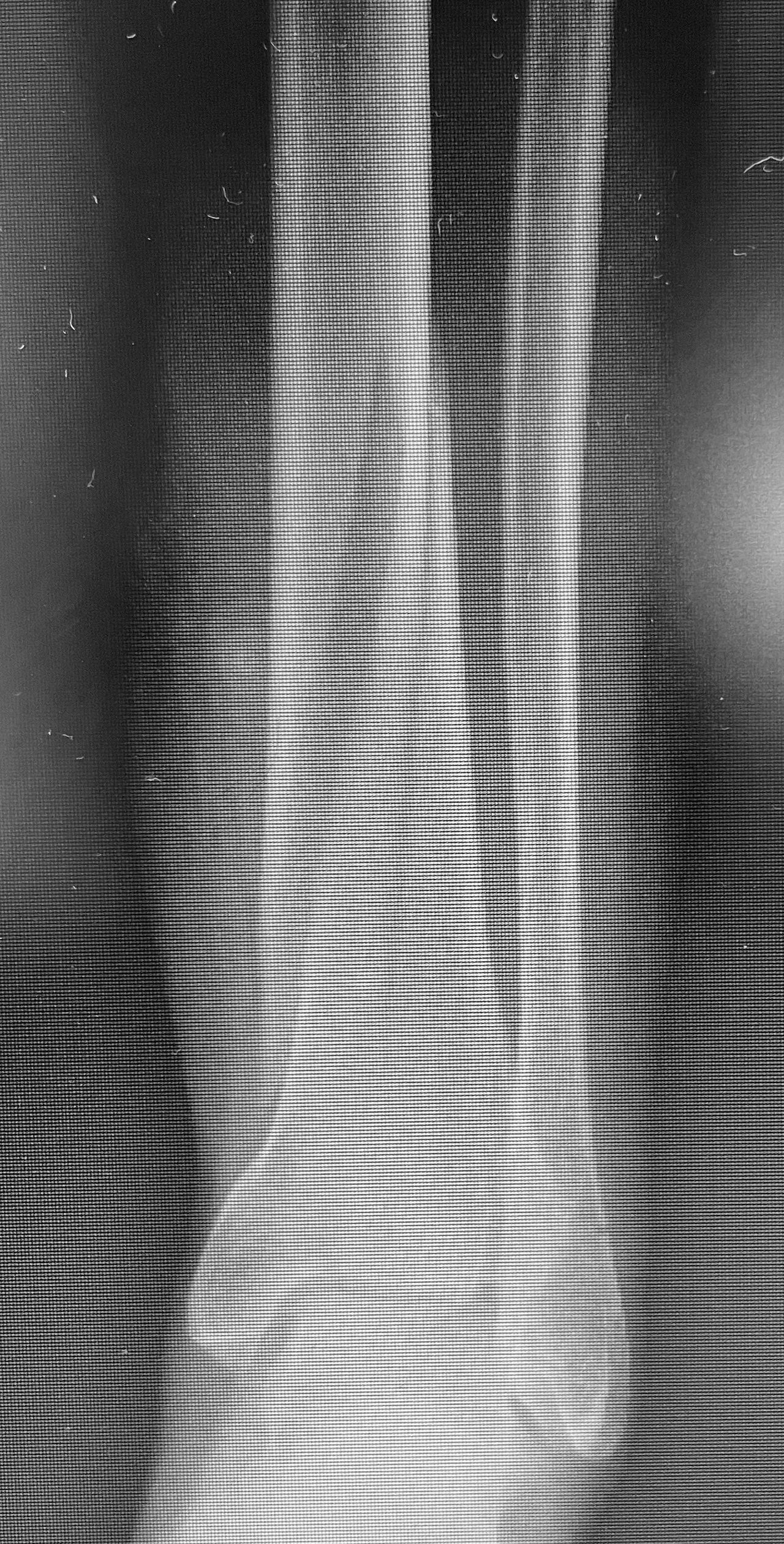 Francesco Palummieri-2