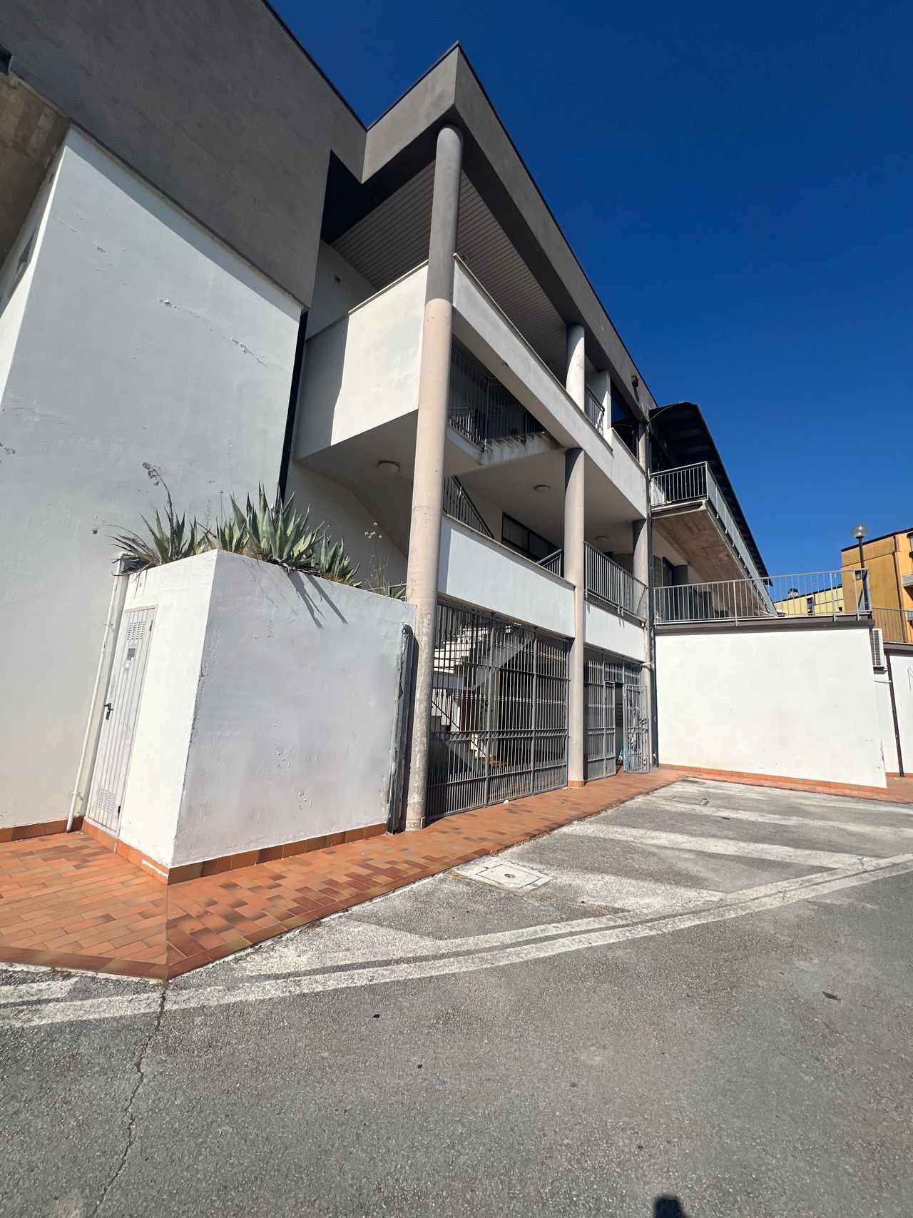 Veronica Agostinelli-3