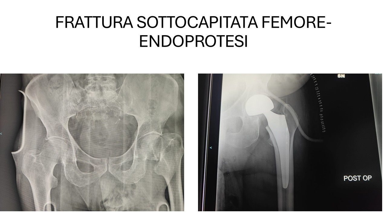 Bartolomeo D'amora-7