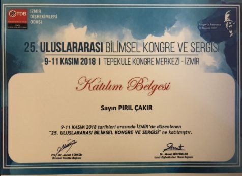 Pırıl Çakır-1