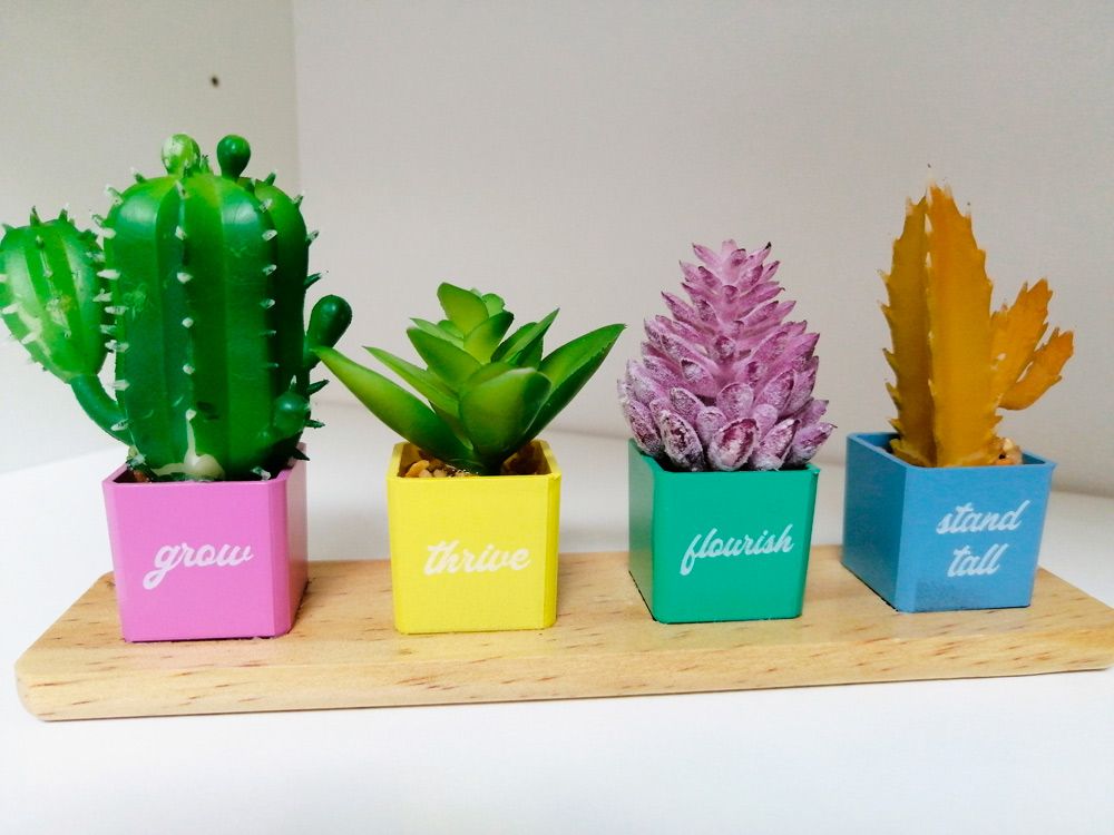 Rebeca Sancho-Sopranis Botana-19