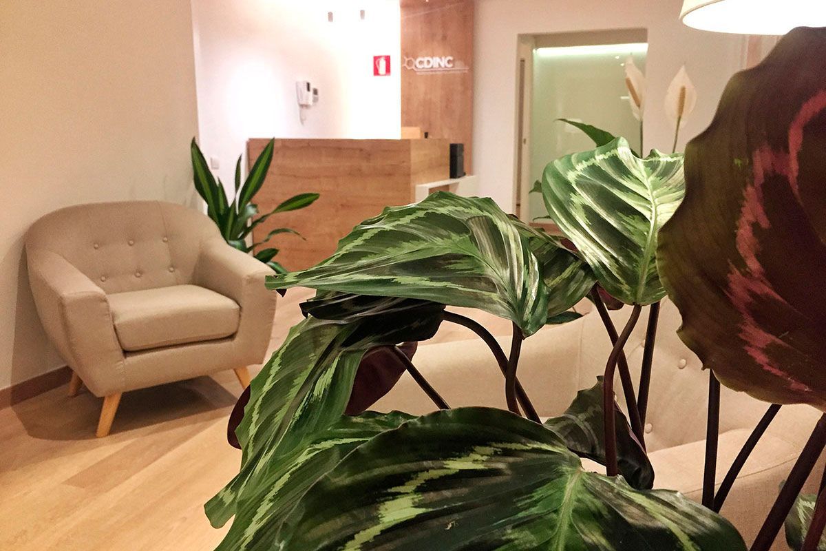 Maria Serra Blasco-1