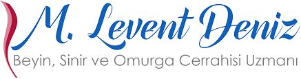 M. Levent Deniz-2