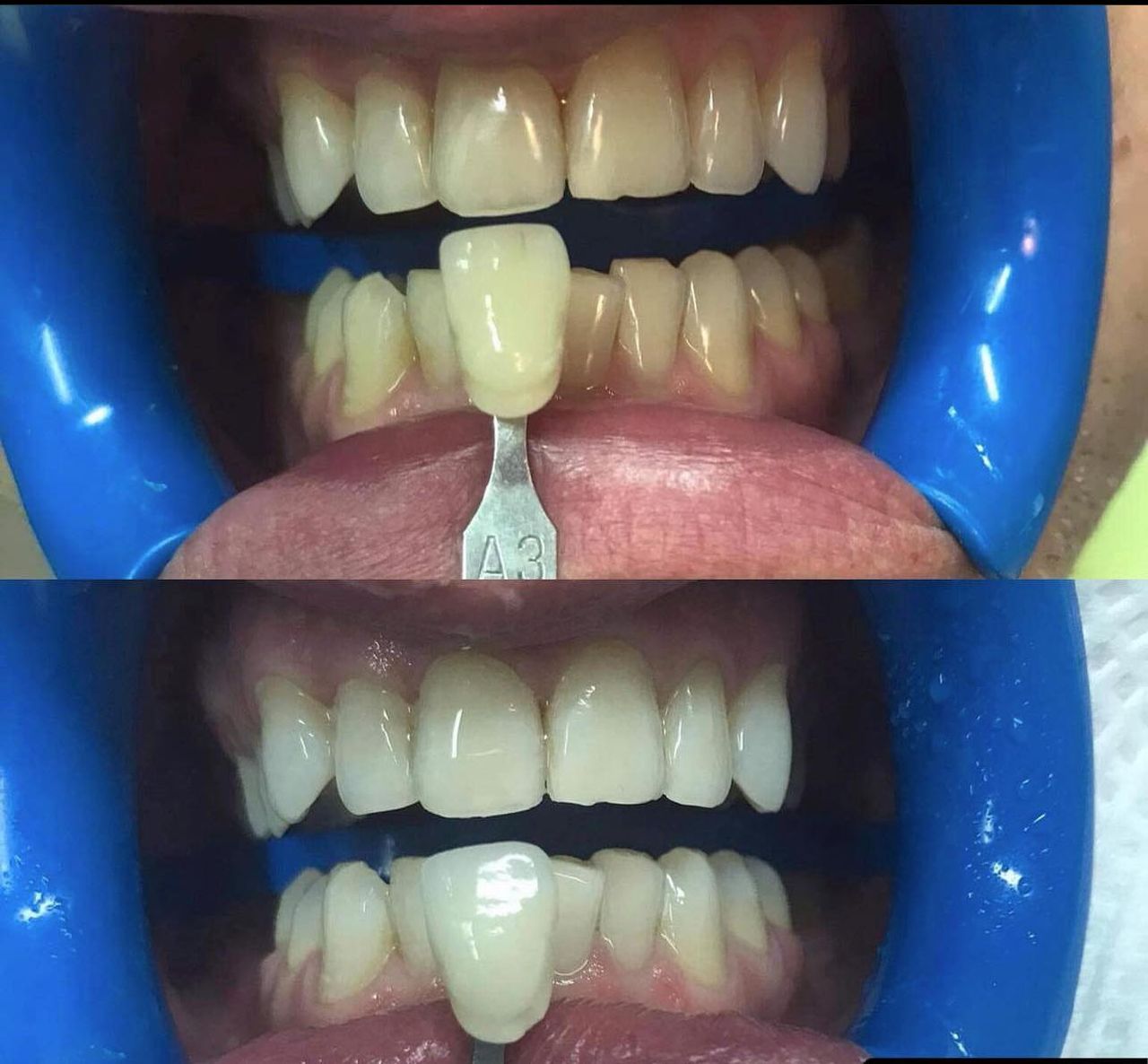 Dżesika Boniecka-10