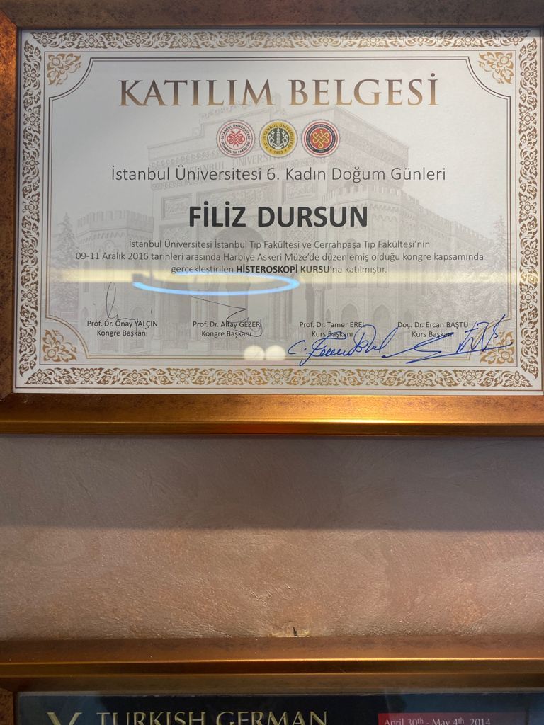 Filiz Çeçen-1