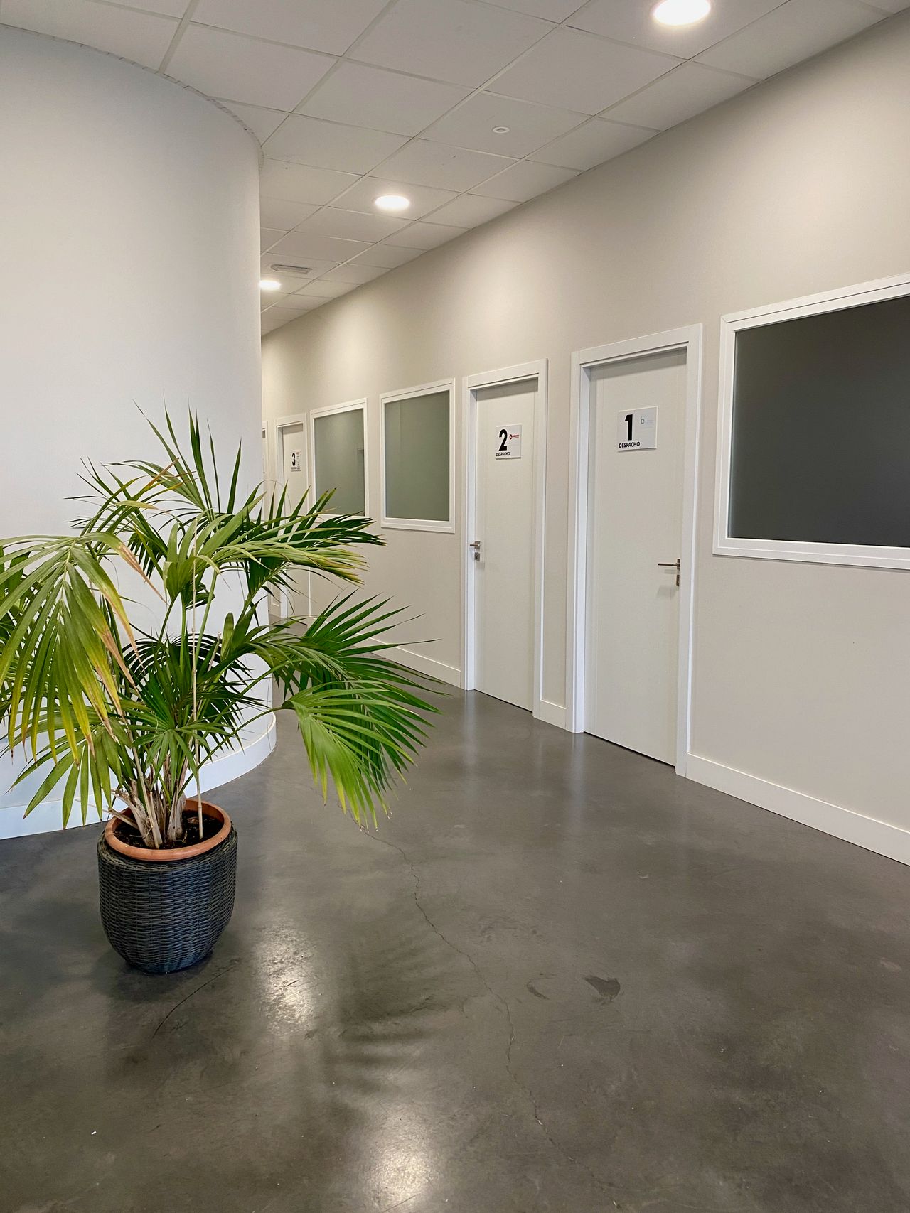 Maria Luisa Jimenez Garrido-7