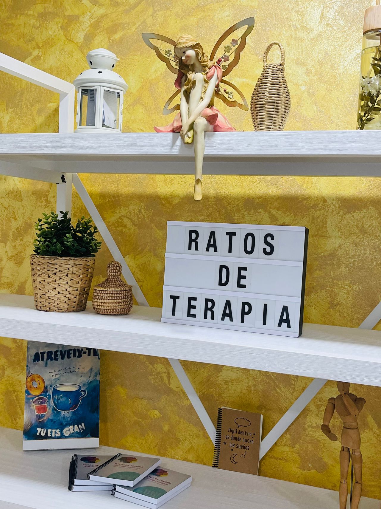 Carmen Salinas Ruiz-3