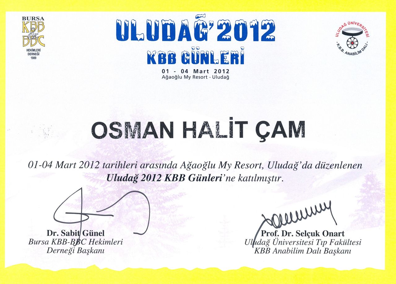 Osman Halit Çam-2