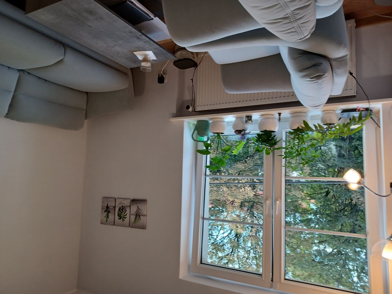 Elżbieta Ciołek-Żelechowska-4