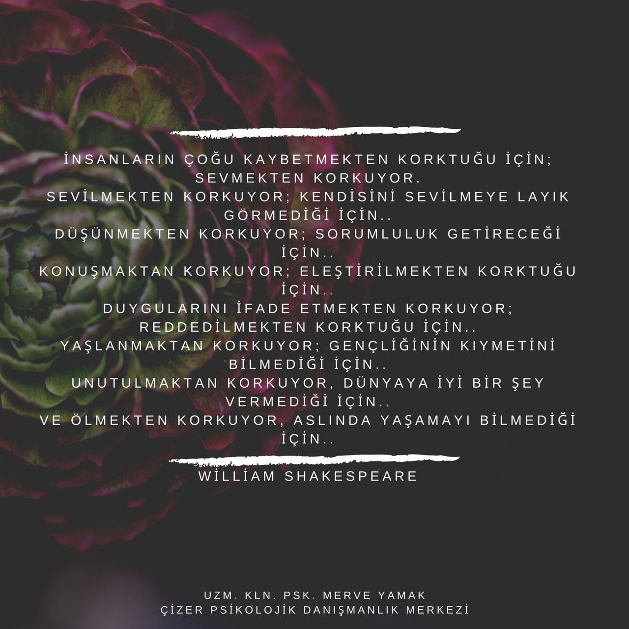 Ayşe Merve Yamak Küçükemirler-4