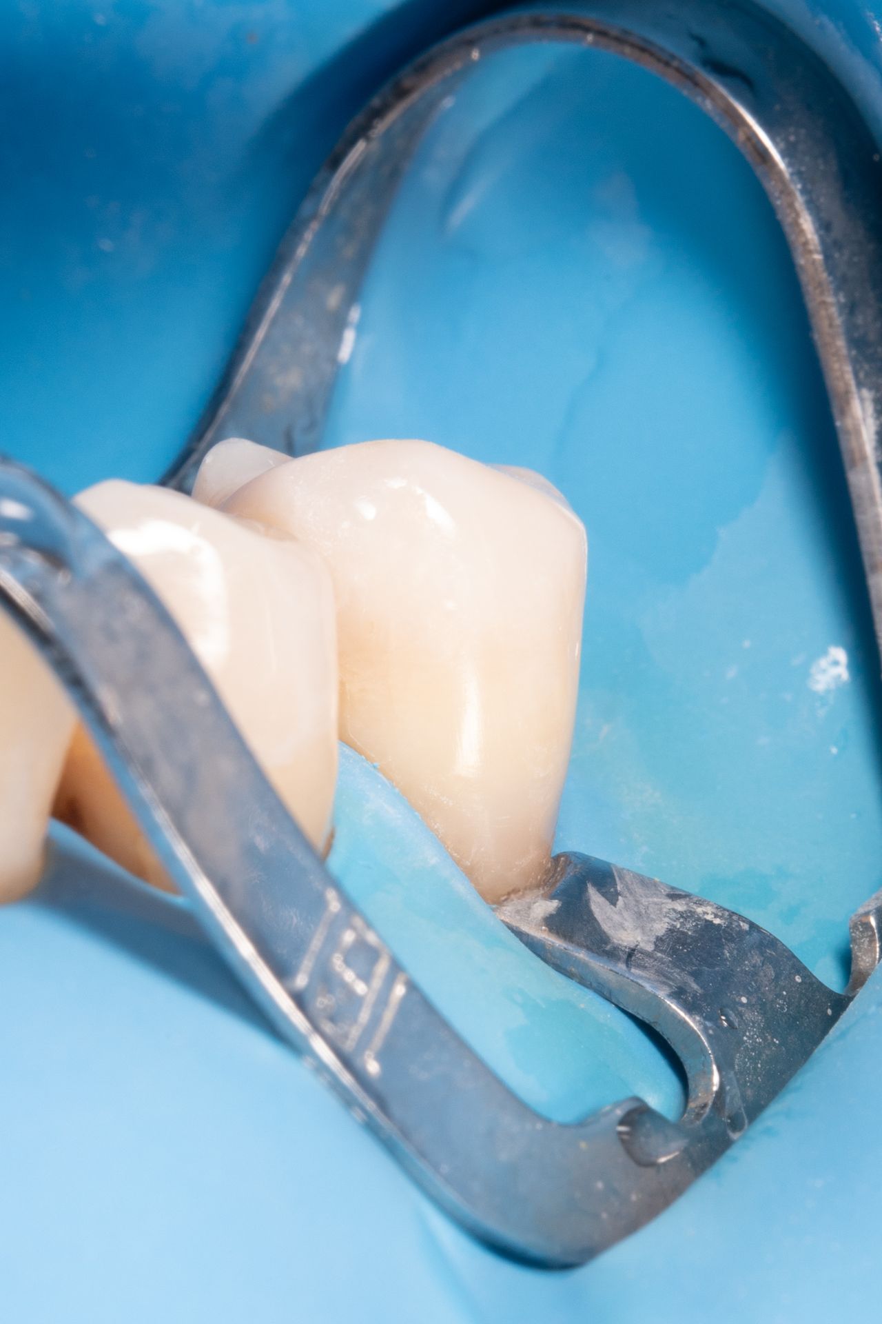 Anastasiya Batushanska Zaborovska-1