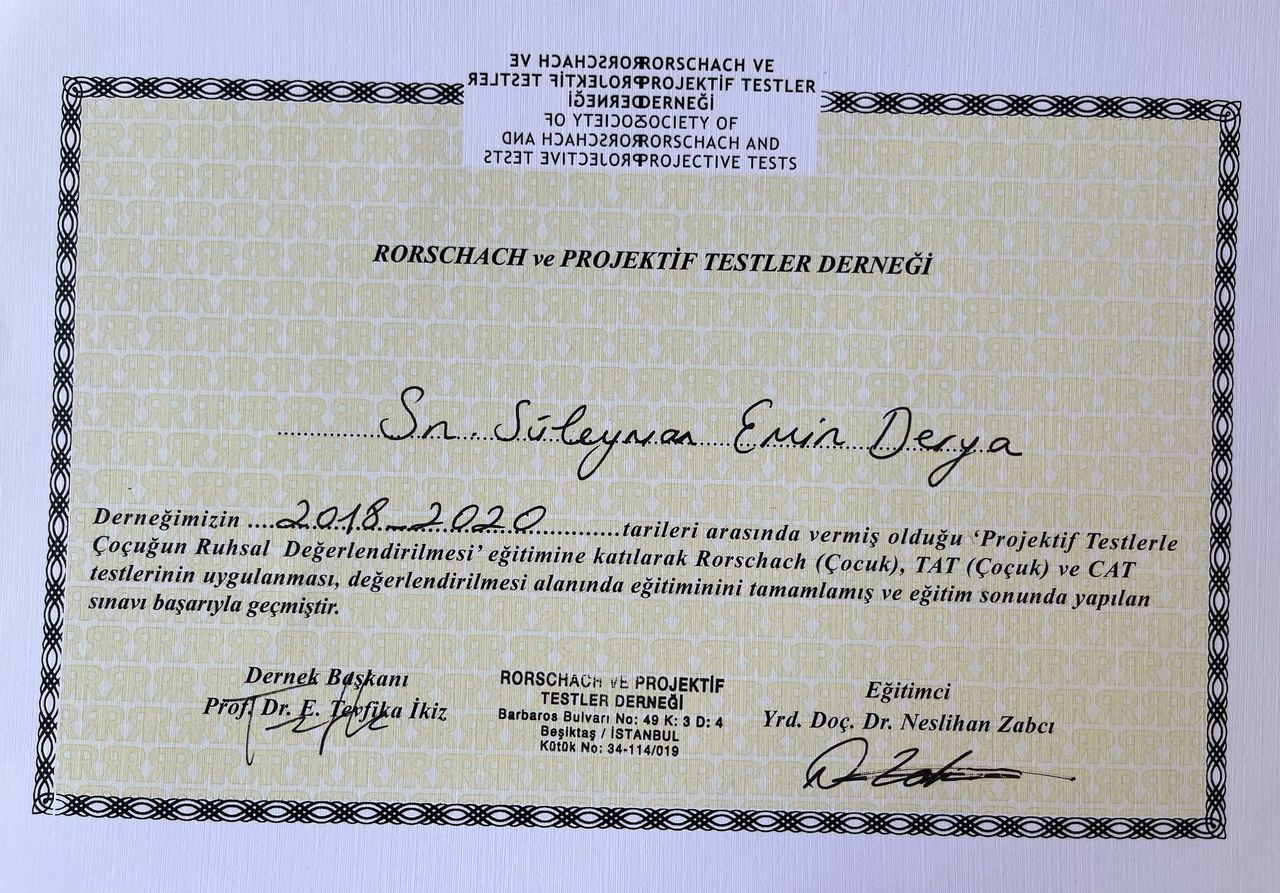 Süleyman Emin Derya-5