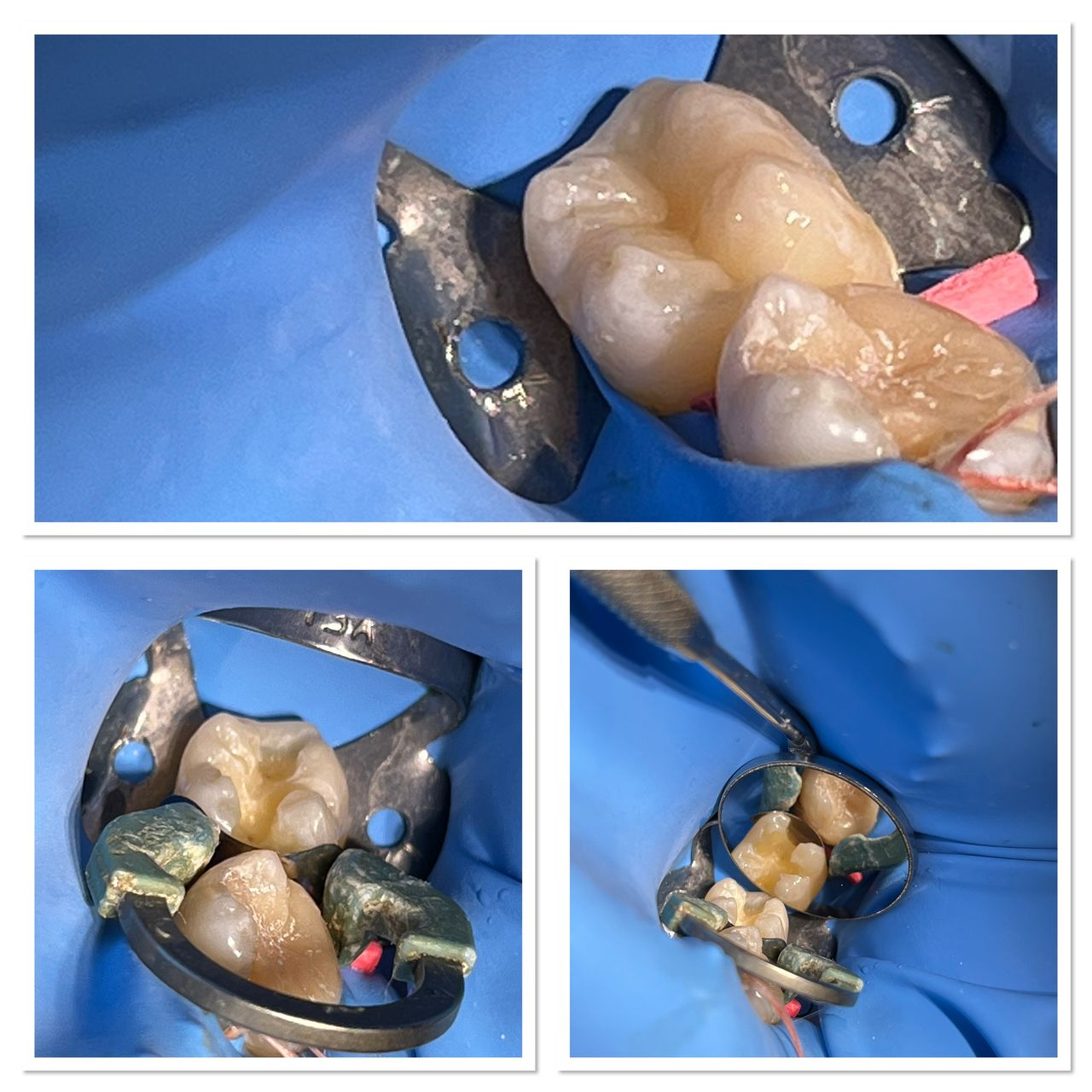 Anna Chmielecka-Borusewicz-1