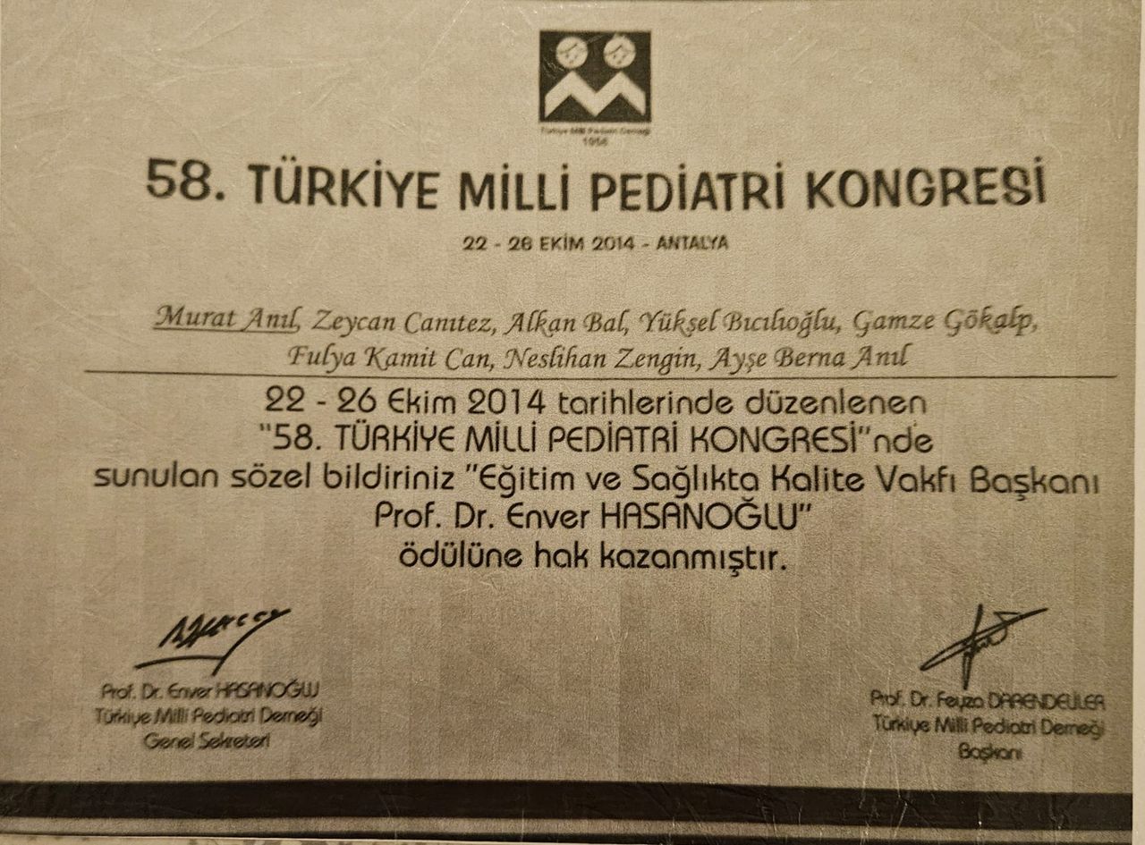 Ayşe Berna Anıl-42