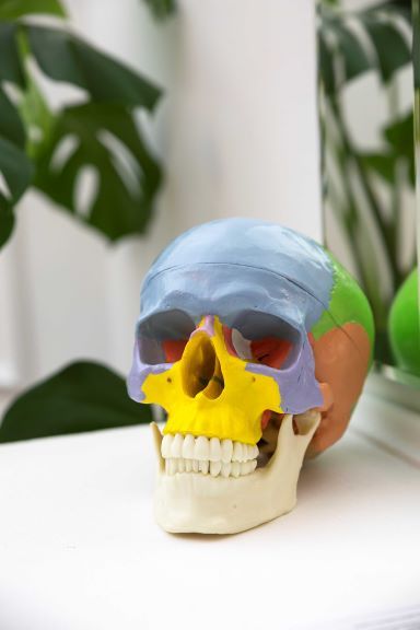 Urszula Bogacka-Wójcik-14