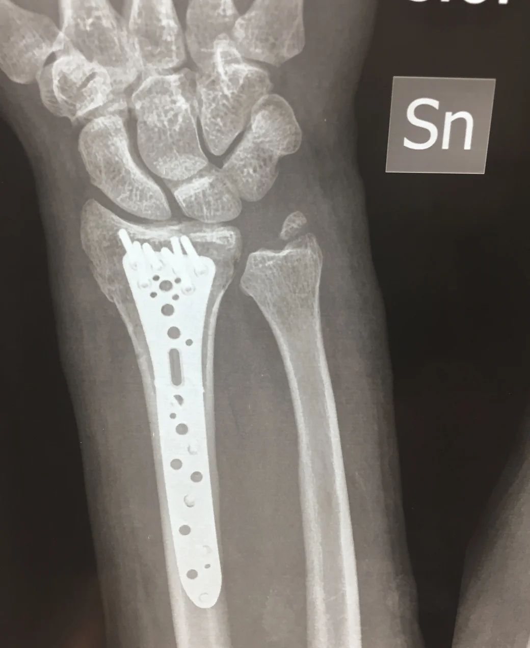 Massimiliano Carrozzo-4