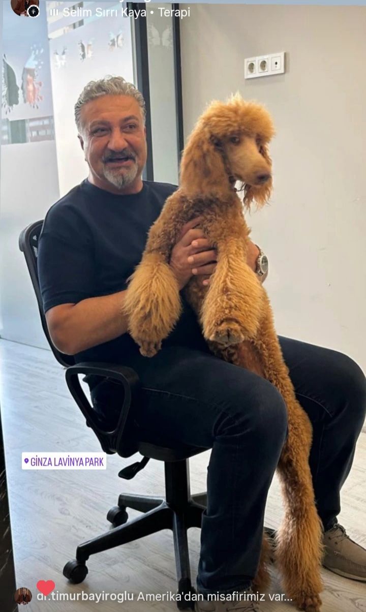 Timur Bayıroğlu-2