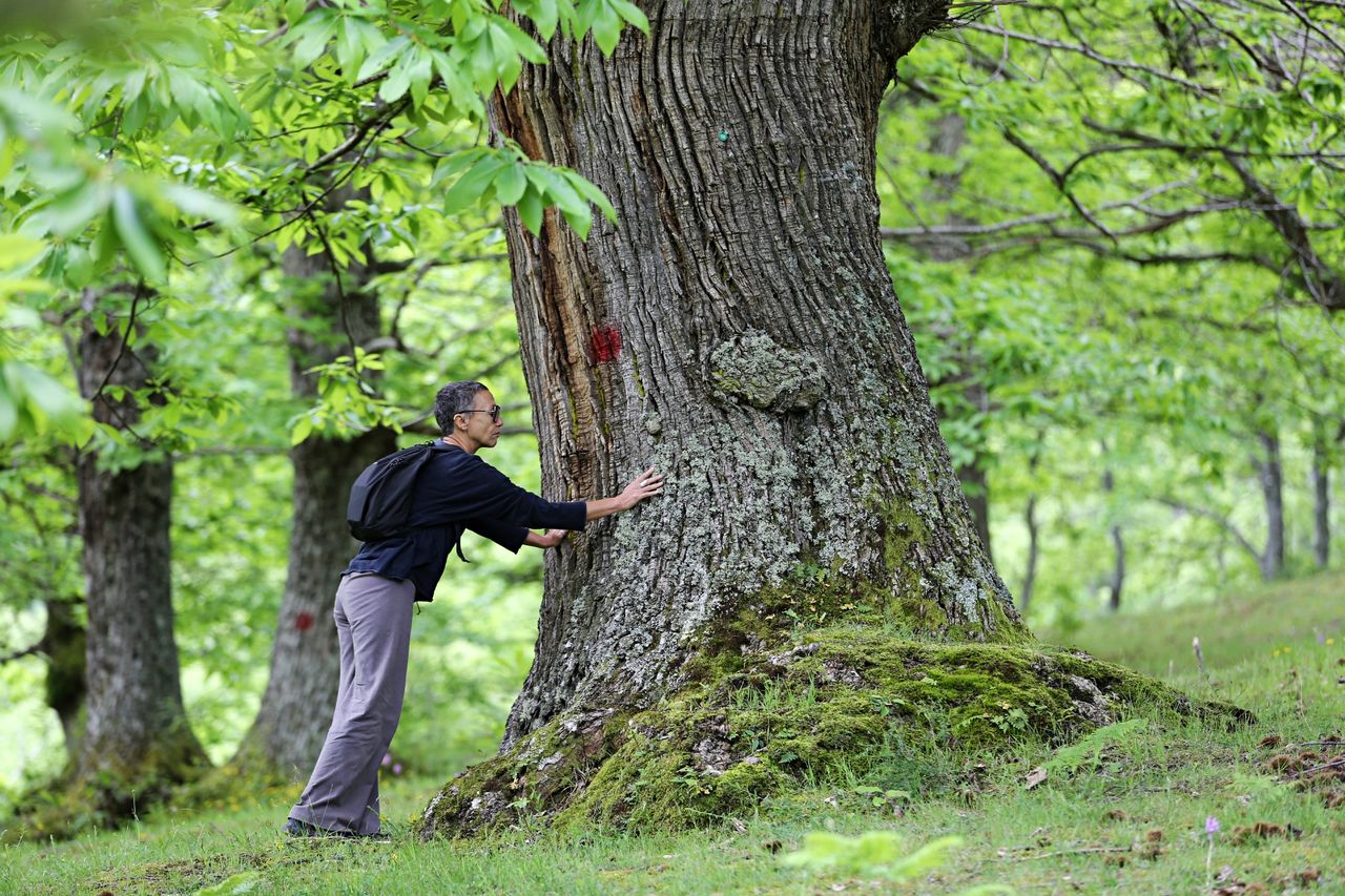 Francesca Campagna-3
