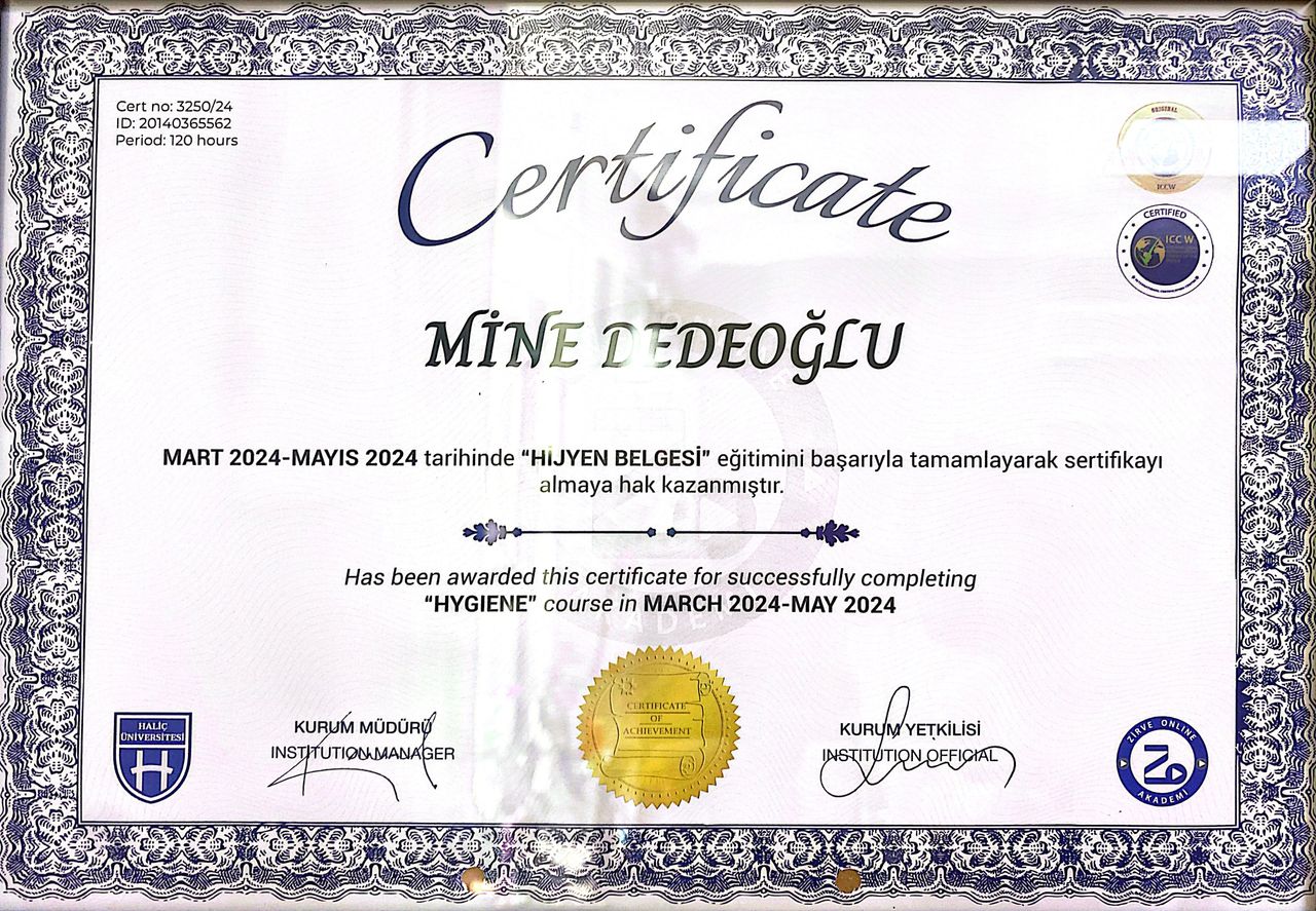 Mine Çağlar-6