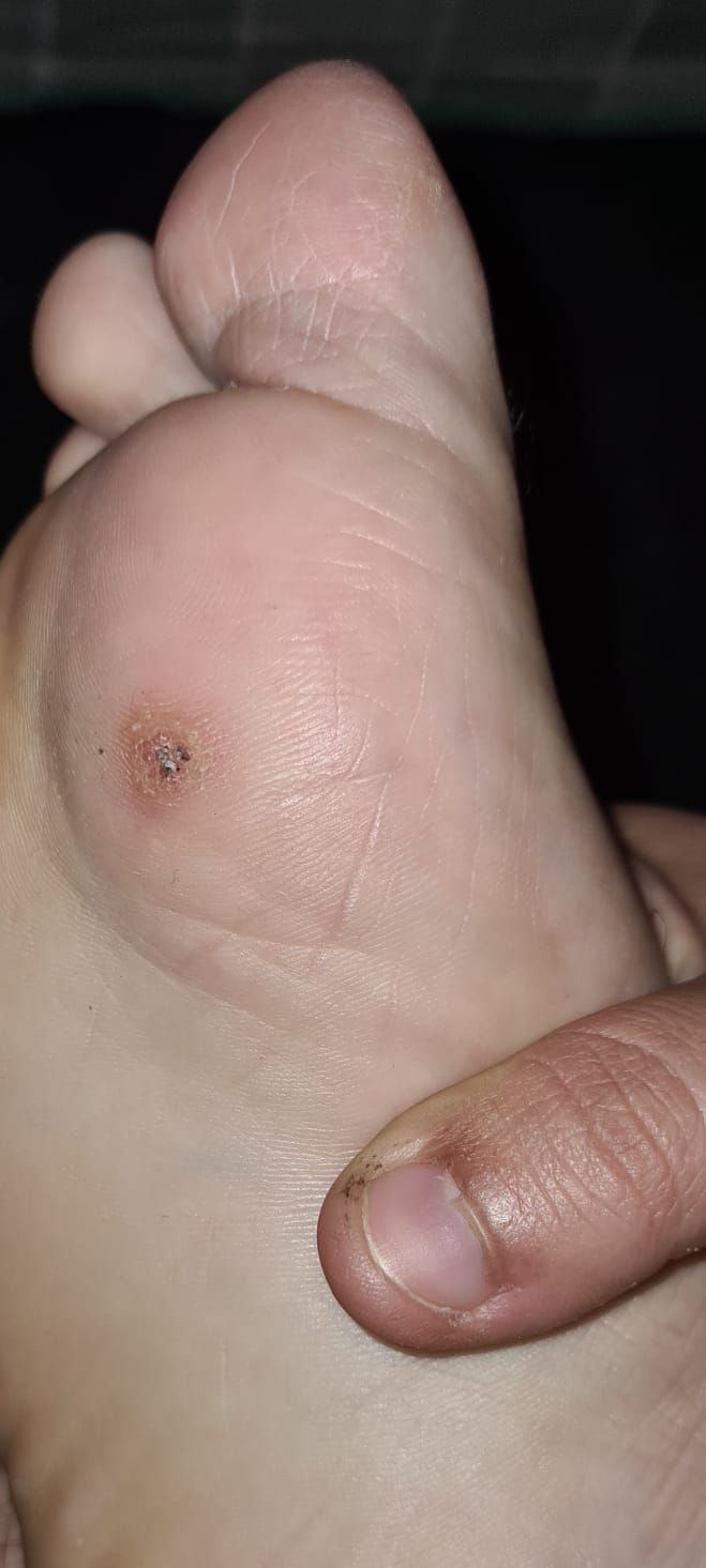 Kassandra Nicolosi-117