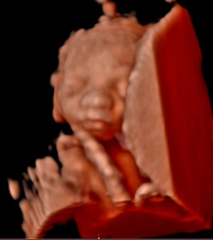 Şahver Melek Avcı Orhun-2