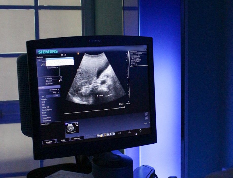 José Francisco Ruiz Escalante-0