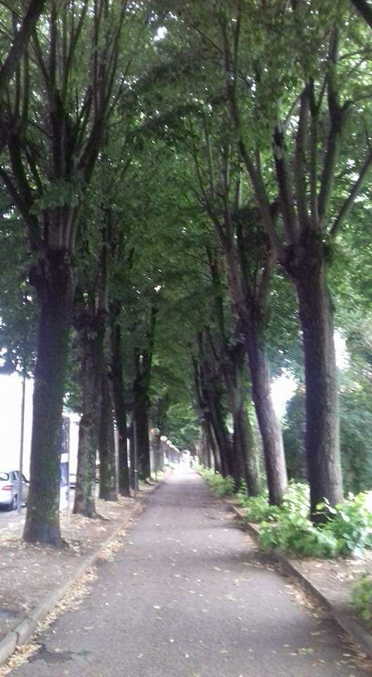 Michele Locuratolo-16