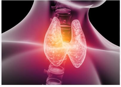 Raffaella Imma Ferraiuolo-0