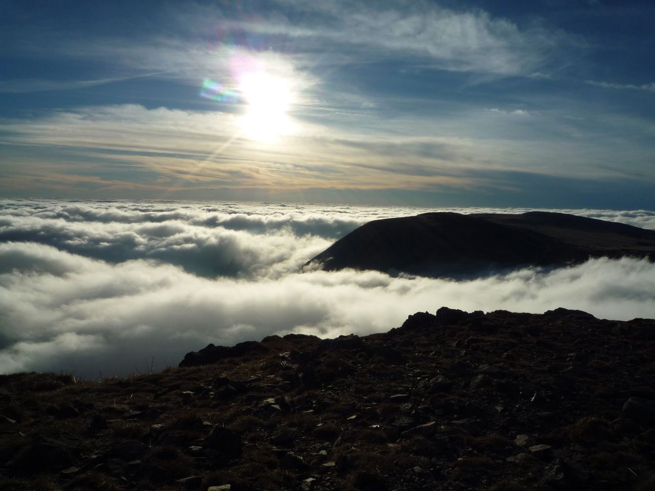 Maria Rzewuska-Mierzwa-2