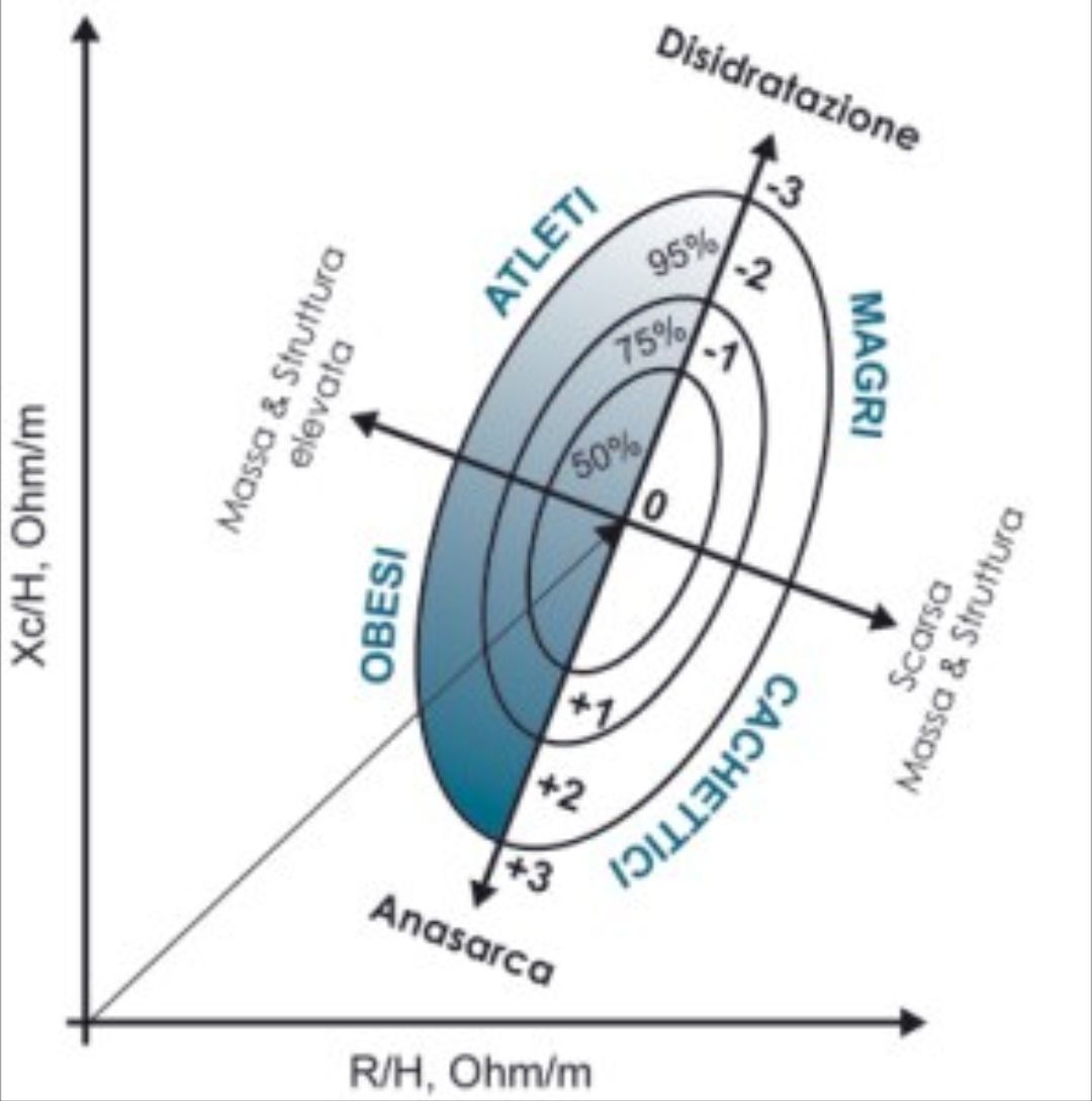 Manuela Coniglio Iannuzzi Delle Noci-3