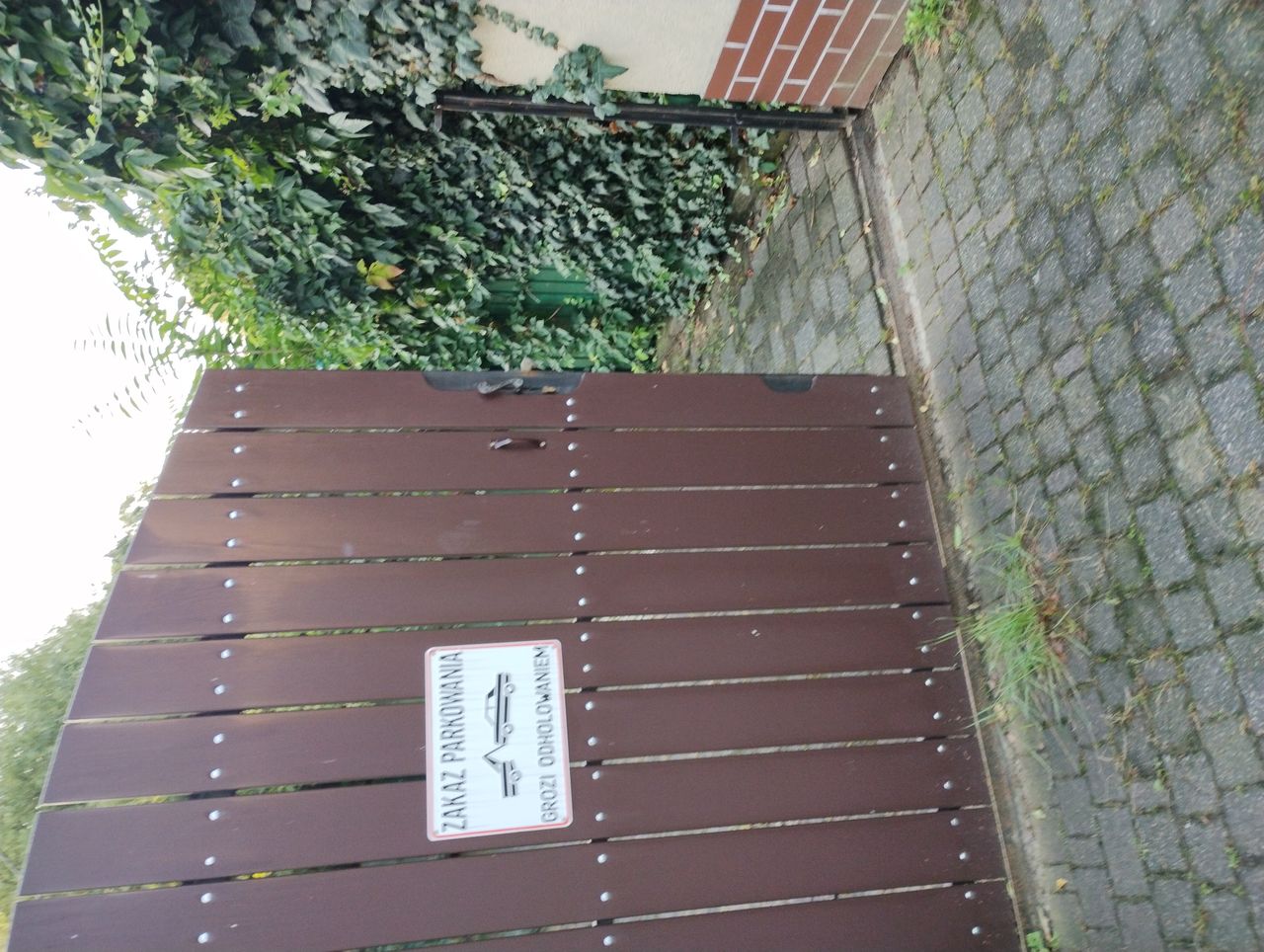 Magdalena Franieczek-0