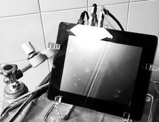 Patrizia Civettini-2