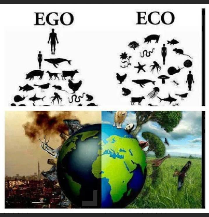 Francesco Sonzogni-70