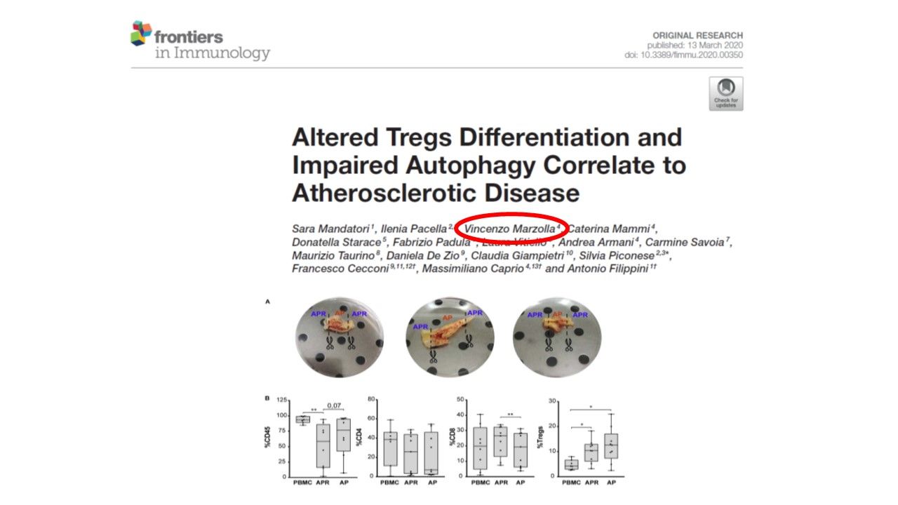 Vincenzo Marzolla-24