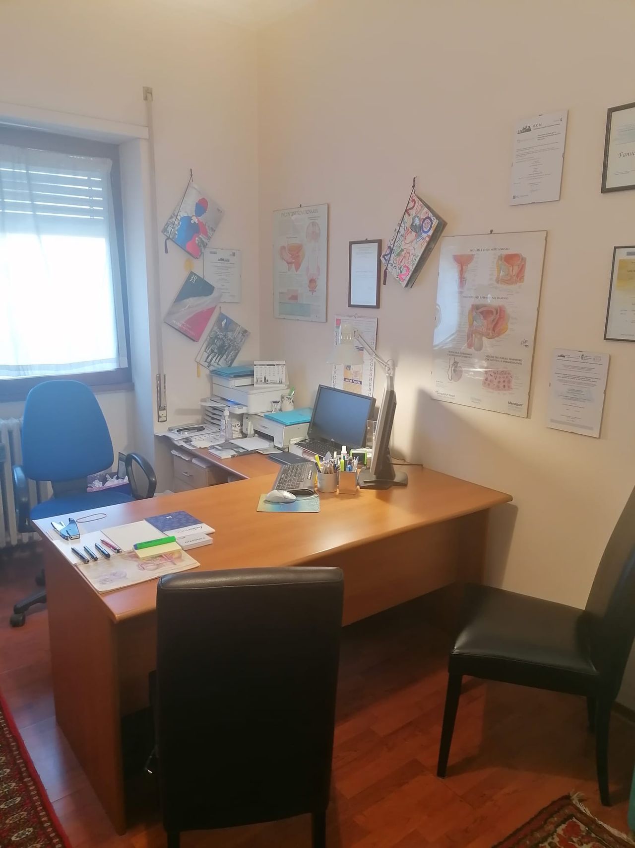 Famiano Meneschincheri-1