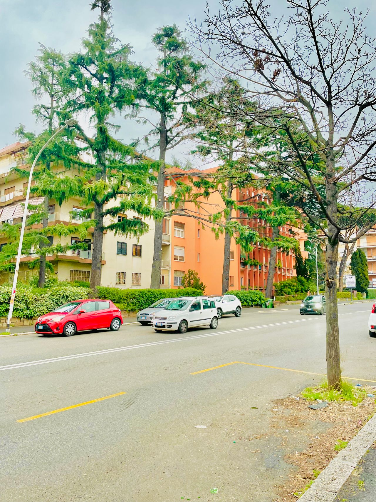 Carlo Maria Romeo Flamini-1