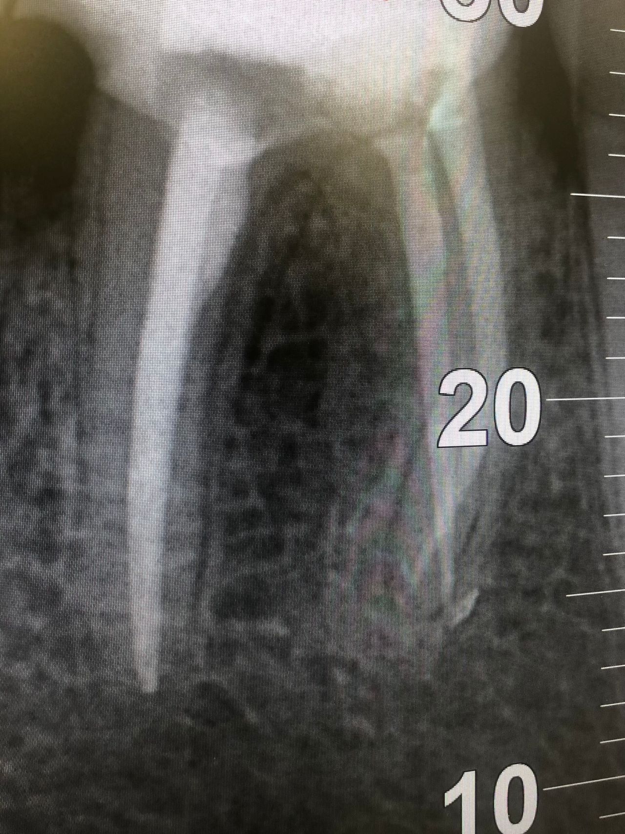 Dominika Witkowska-Pszczoła-12
