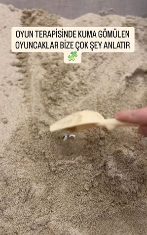 Hatice İpek Şahan-4