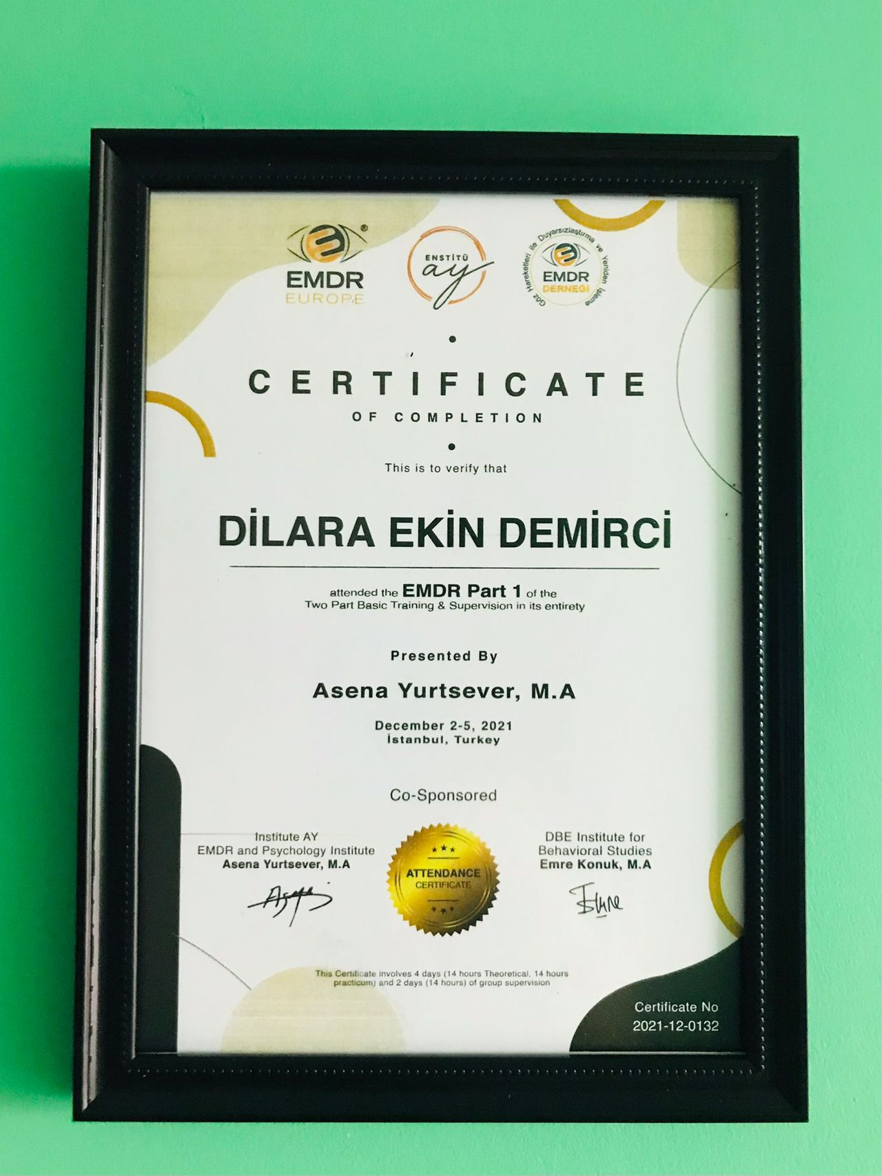 Dilara Ekin Demirci-0