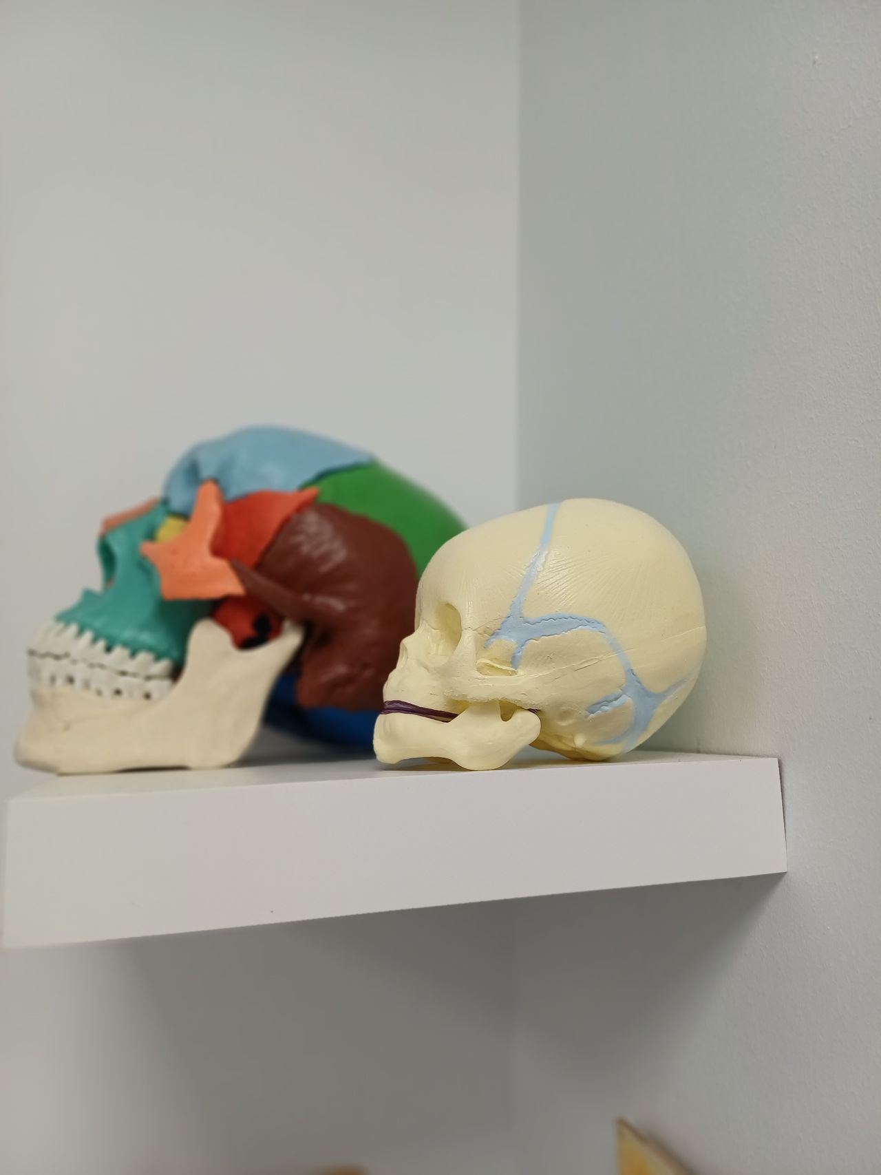 Álvaro Cintas Carazo-4