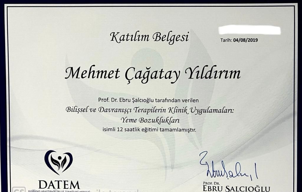 Çağatay Yıldırım-42